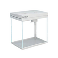 유리 어항